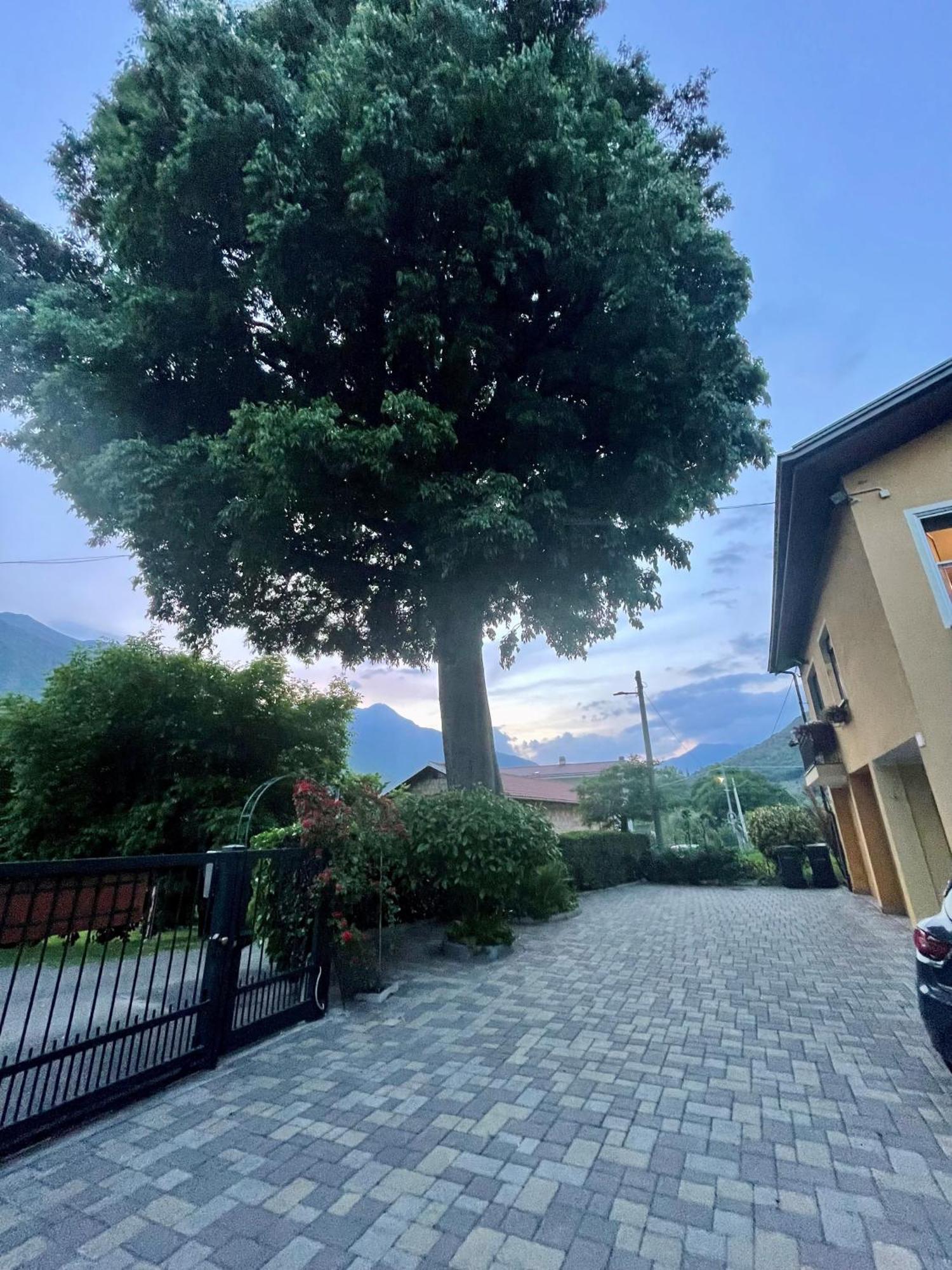 Bed & Breakfast L'albero Maestro Borgofranco d'Ivrea