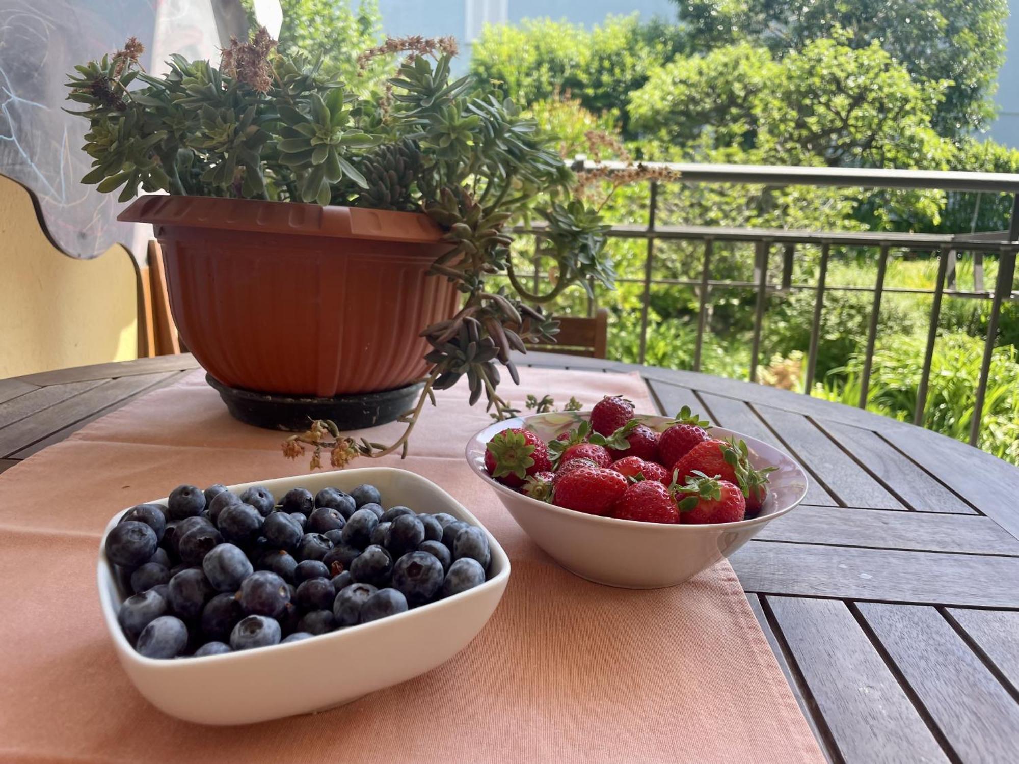 Con Vista Giardino E Piscina Borgofranco d'Ivrea