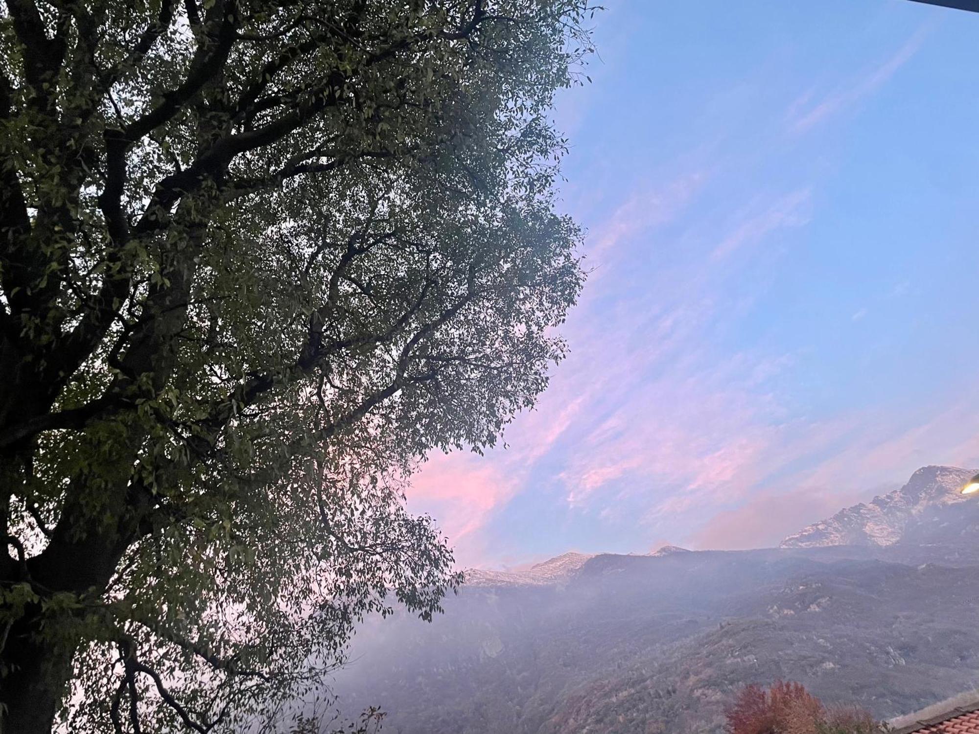 L'albero Maestro 3* Borgofranco d'Ivrea
